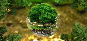 LearnOnline Self-study IGCSE Biology - tree growing in a cracked glass globe floating with forest background