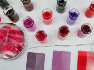 LearnOnline Self-study IGCSE Chemistry - birds eye view of laboratory dishes with liquids and powders all in tones of pink