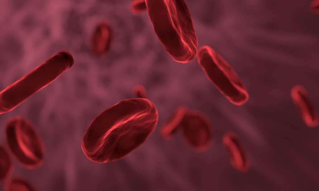 LearnOnline Fast Track Biology A level Self-study Close up of red blood cells