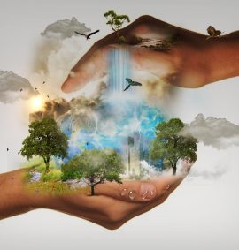 LearnOnline Business Training courses - Environmental Awareness Mythical image of two hands holing a nature storm with trees, lightening, bird, butterflies and tall buildings