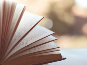 LearnOnline Fast Track English Literature A level Self-study Open book