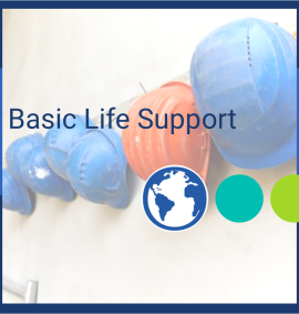 Health & Safety_Basic life support